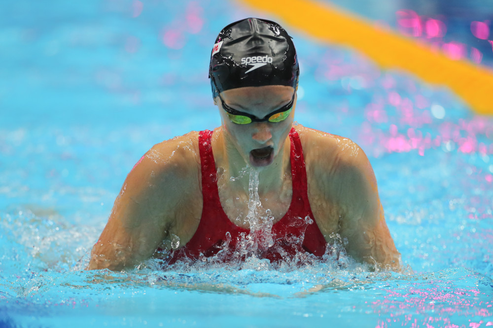 开云体育在线-包含加拿大游泳选手一枝独秀,实现突破的词条