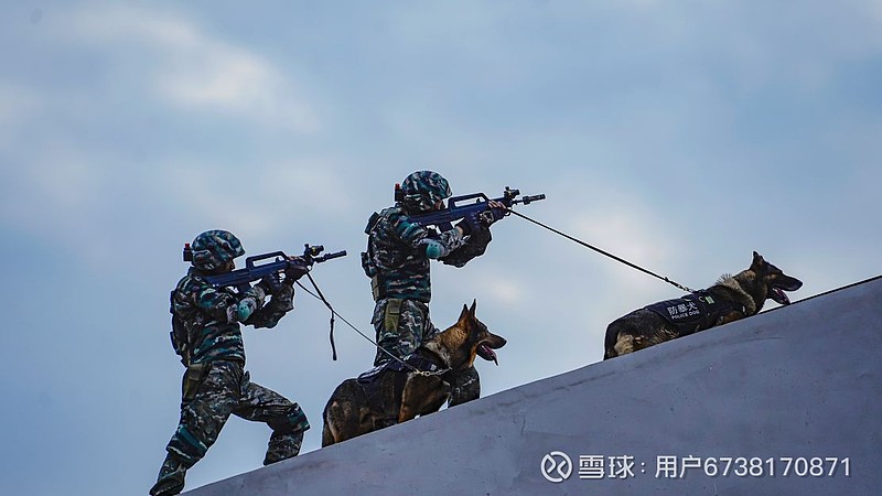 开云APP-火药味十足!豪门对抗狂飙,速战速决的简单介绍
