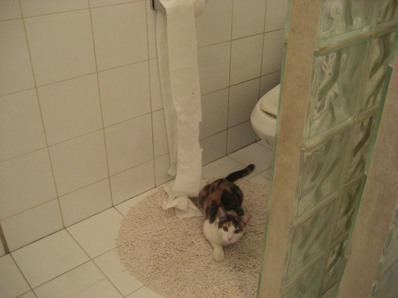 开云-他一个人在跳舞，奥运周期关键战之夜，拉文的孤独征服