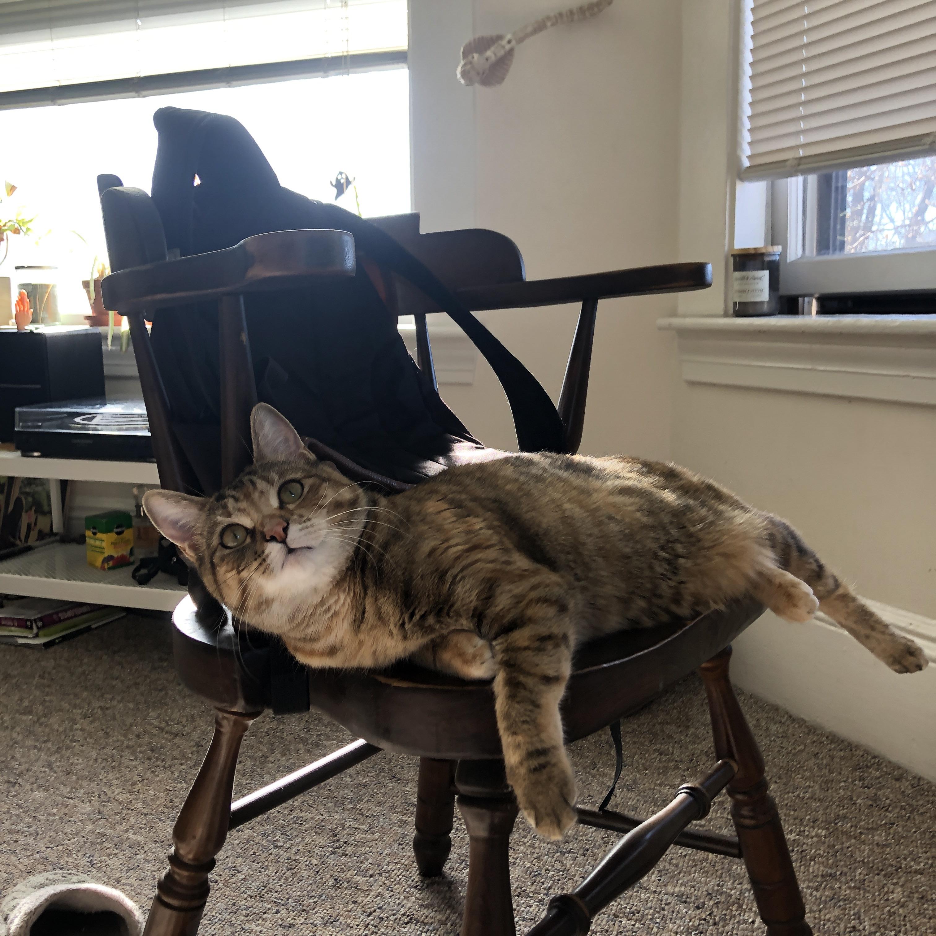 开云-跨次元镜像战争，广厦队如何在欧冠战场正面击溃步行者