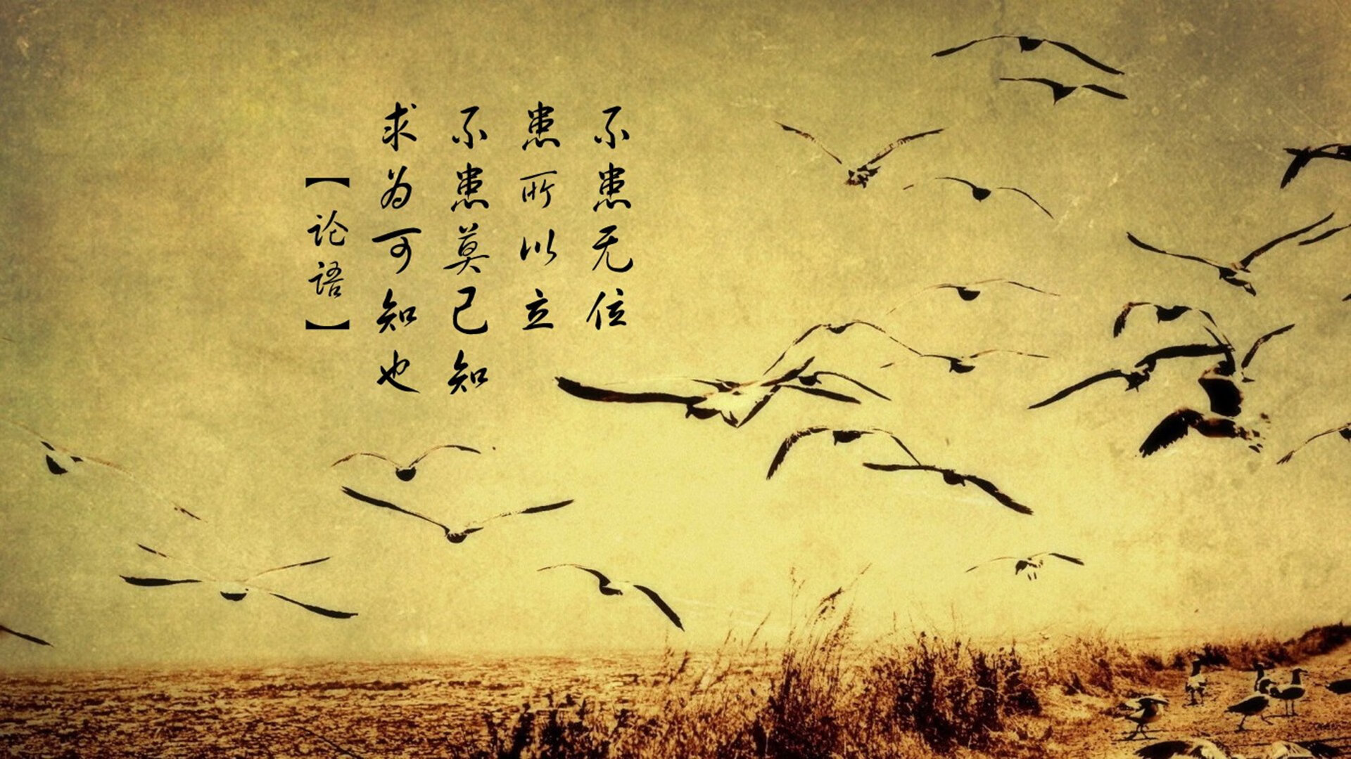 冲垮！智利暴雨倾盆下的胜利，哥斯达黎加的奥运之路被拦腰截断