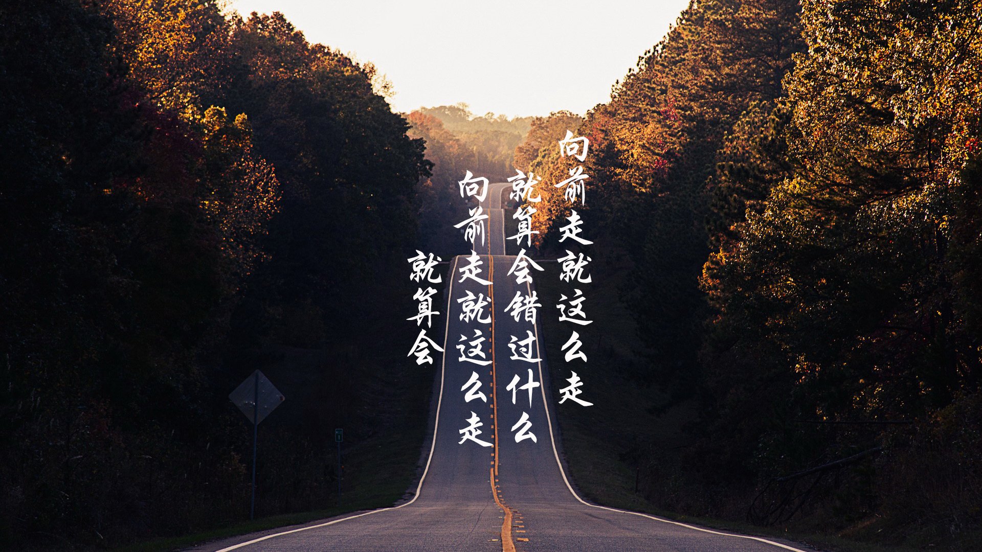 开云体育登录-轨道与球场，双子星闪耀下的冠军品质之谜