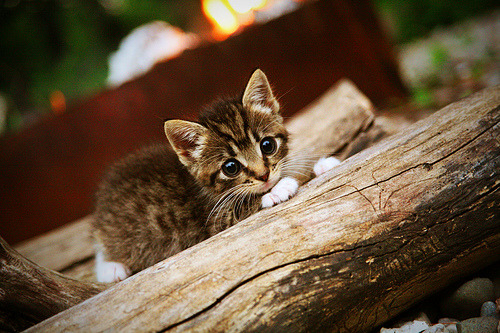 马里斩落摩纳哥!格纳布里一锤定音,上演王者归来戏码