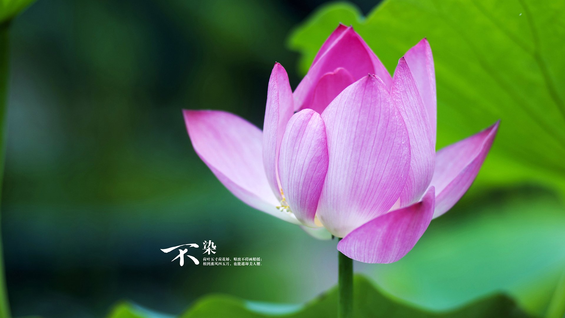 欧文教科书式技艺难敌马刺铁血体系，圣城新篇章悄然开启