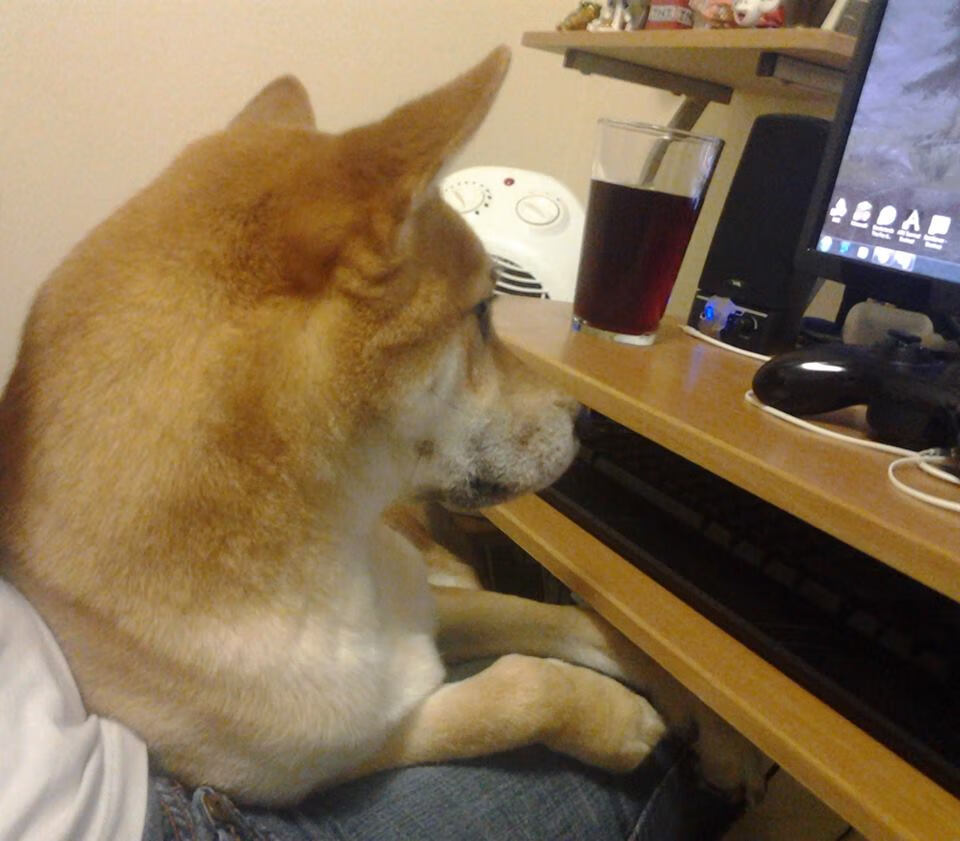 开云体育APP下载-极速与绿茵的狂想曲，哥斯达黎加如何在自己的街道上超车哥伦比亚