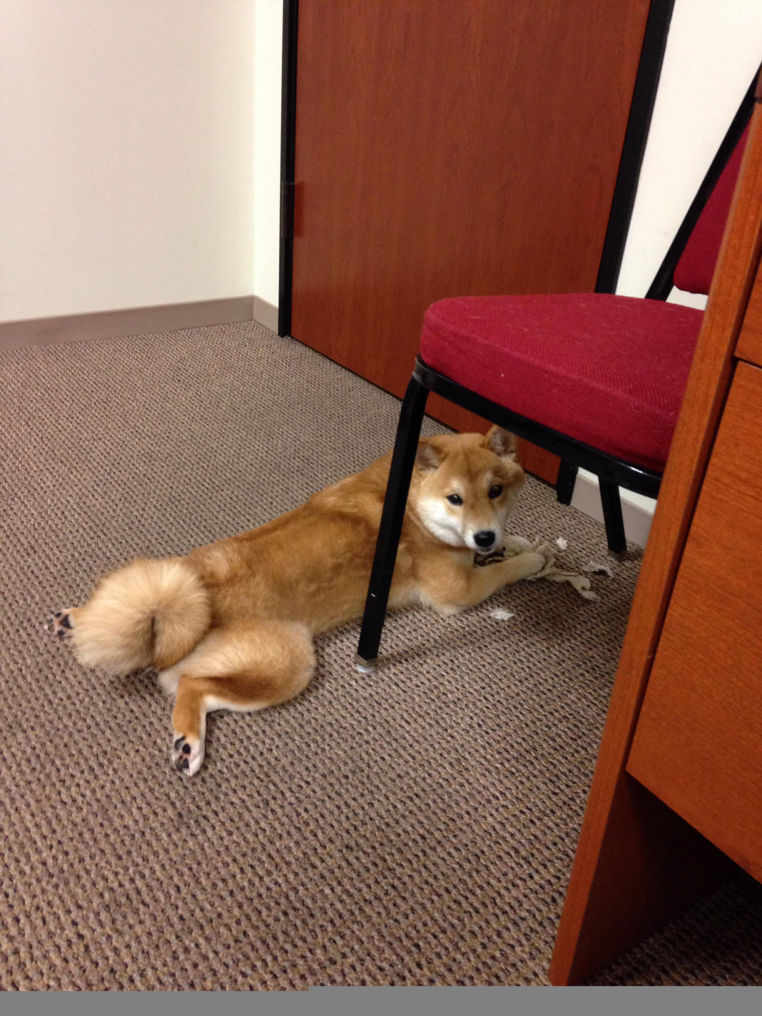 巴黎闪电战，姆巴佩的致命三分钟与迪马利亚的节奏统治