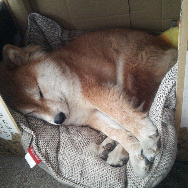 开云-恩比德雷霆首秀弑旧主!关键先生降临终结湖人连胜