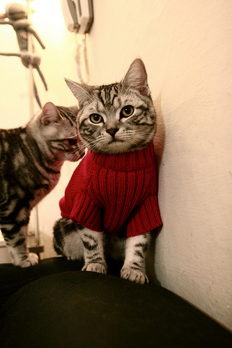 强行改写历史,贝恩的不朽夜晚与深圳队的铁血宣言