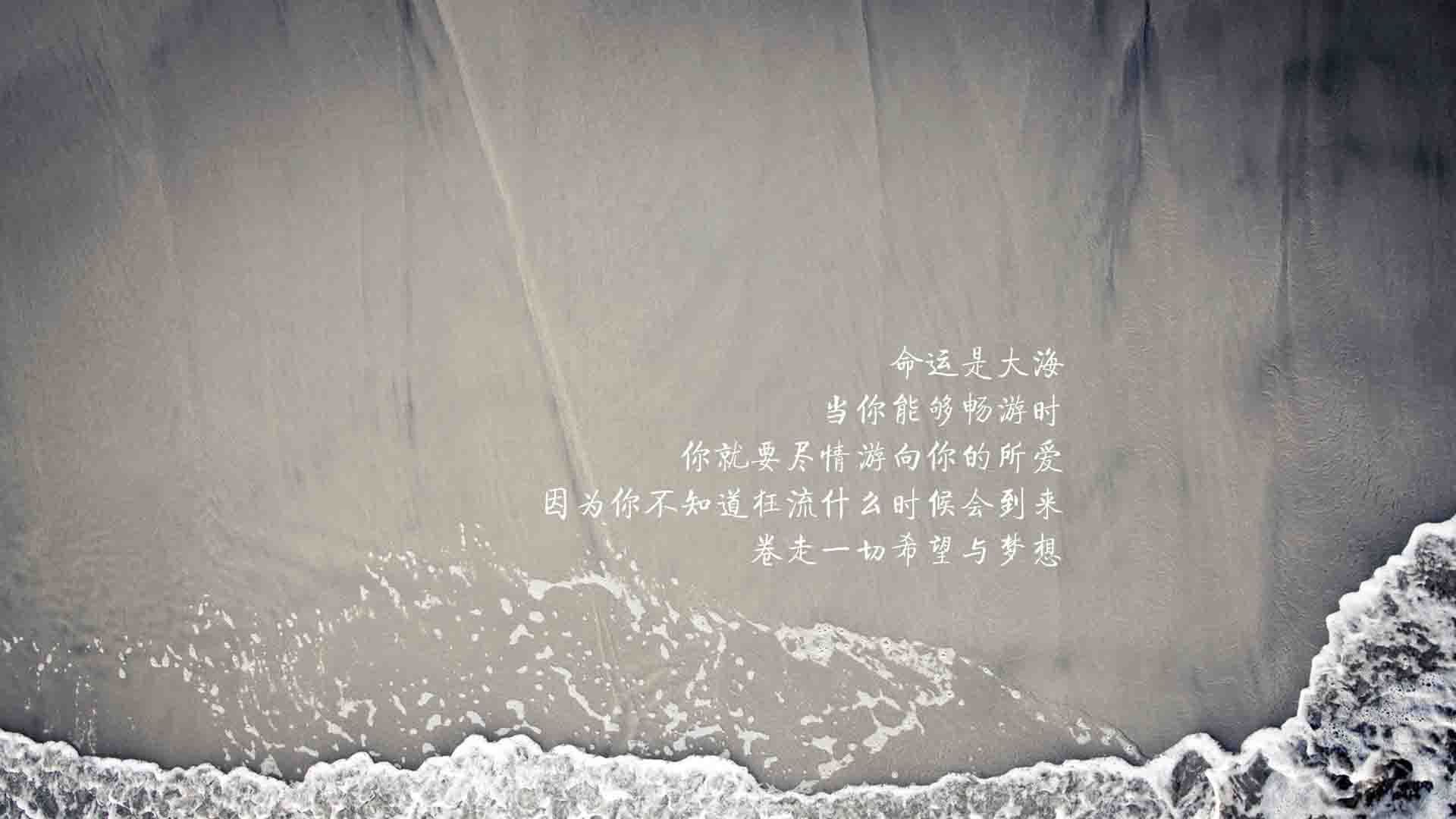 默契如诗,横扫如风,2026世界杯D组关键战,意大利与德布劳内演绎唯一性传奇